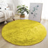 Round Fluffy Plush Carpet for Home Living Room Decor Thick Area Rugs Velvet Floor Mats